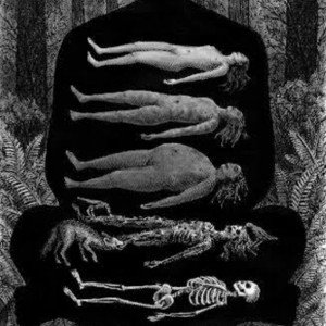 till death frees me (COVER)