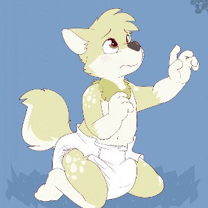wolf 