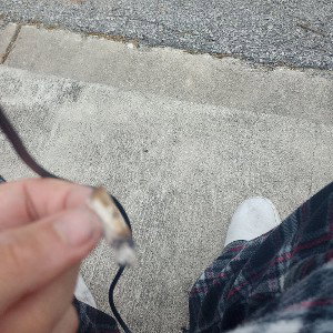 Killin these roach bitchs