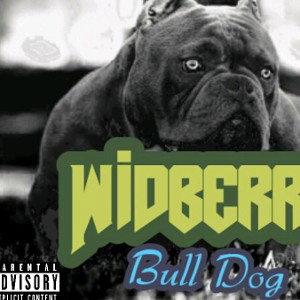 Bull DOG