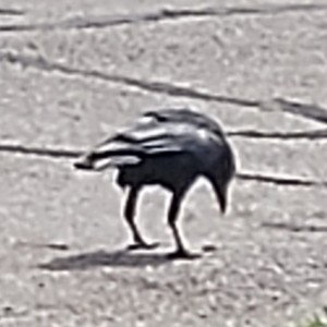 Poor You 