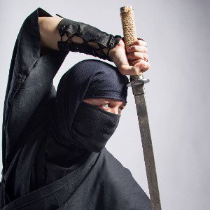 Bestseller - Ninja