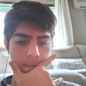 verdonking