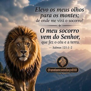 MC audinaldo 