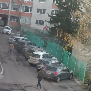 Мой двор