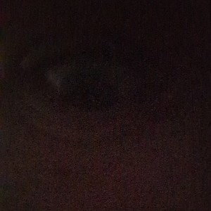 wtf am I doing!?