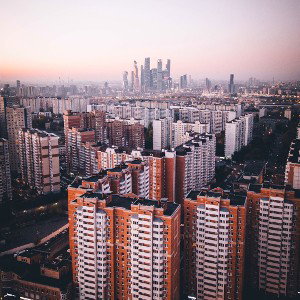Каменные Джунгли