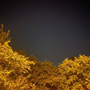 огород