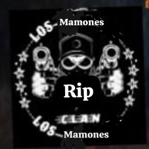 rip a los falsos sicarios 