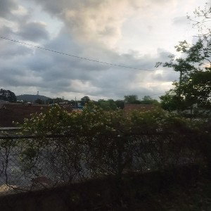 Year Around(freestyle)