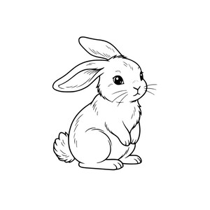 Fluffy (part 2)