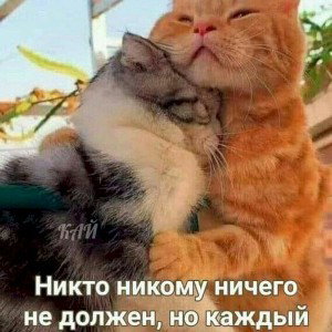 мир любви