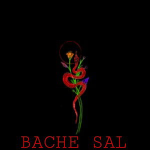  BACHEH SAL