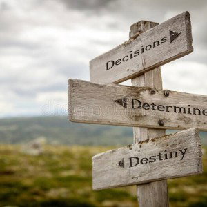 My Destiny 