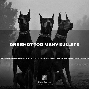one Shot Too Many Bullets