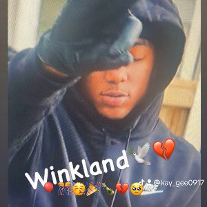 Itsmydogbrithdaywinkland