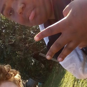 free the goat 