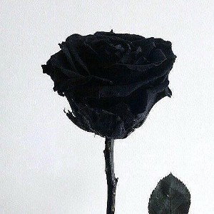 ترک تو یهویی