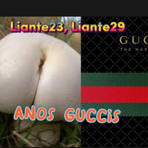 Liante23, Liante29 - ANOS GUCCIS (audio oficial)