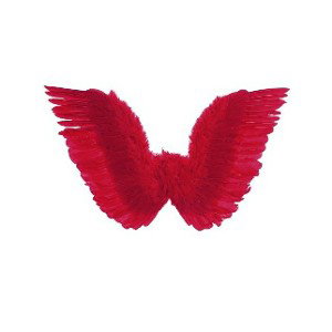 Red Wings❤️