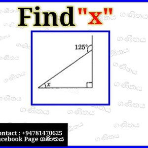 find x fuck tor