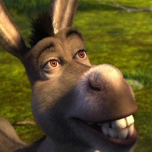 asno de Shrek 