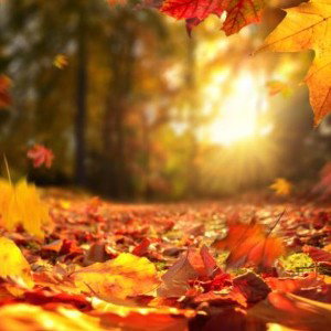 el otoño