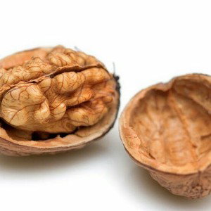 Deez nuts 