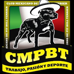 VIVA MÉXICO 🇲🇽