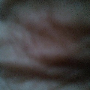 voice 