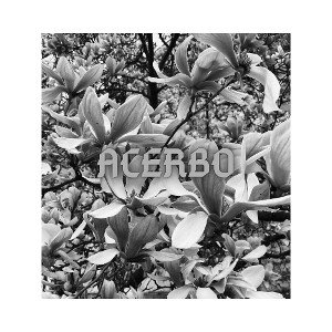ACERBO (w/ Newsense) (feat. Domy e LuKii)