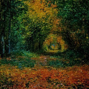 MEMORIE DEL SOTTOBOSCO