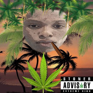 ISLAND VYBZ