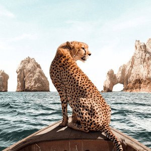 Demo 3 