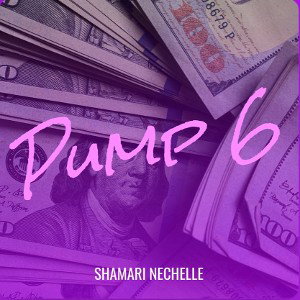 PUMP 6