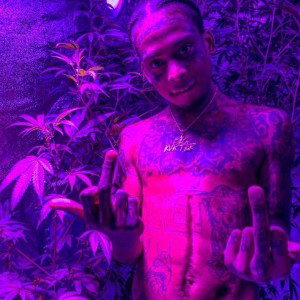 LongLiveBarter