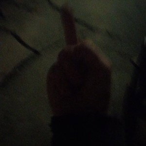 fuck the guvermant