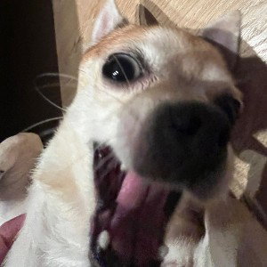 Счастье