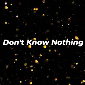 Don't Know Nothing