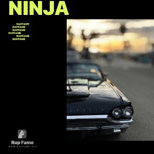 NINJA 