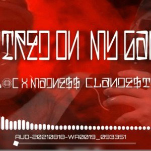 AUDIO-2021-08-18-04-51-06
