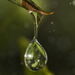 una nueva gota 