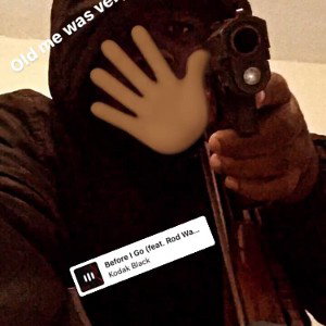 ILoveDrakes