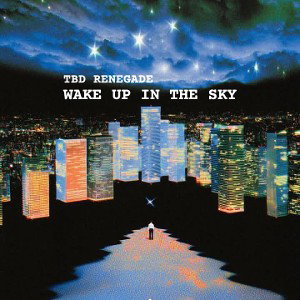 WAKE UP IN THE SKY 