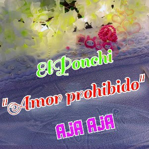 ElPonchi aja aja ° Amor Prohibido 
