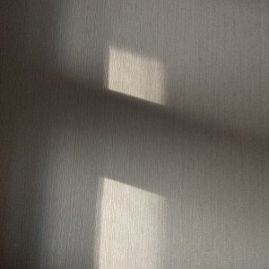 олег 2