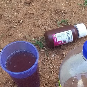 Souga Cyrup feat rayflex