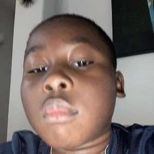 Bear Disstrack 