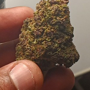 Gas🔥🔥