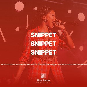 snippet 